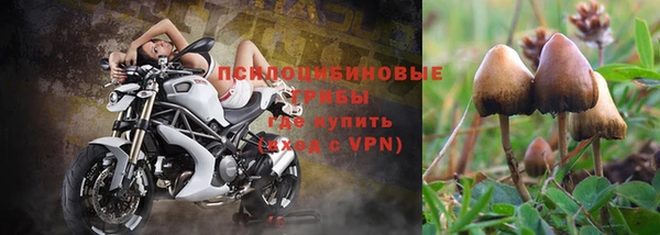 винт Арсеньев