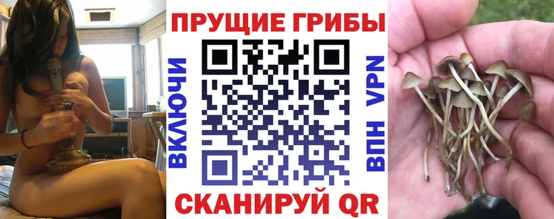даркнет сайт Ростов KRAKEN ссылки Галлюциногенные грибы мицелий